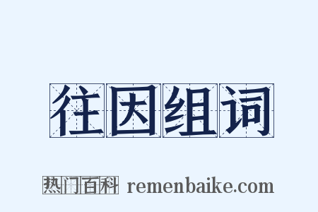 往因组词是什么意思的图片